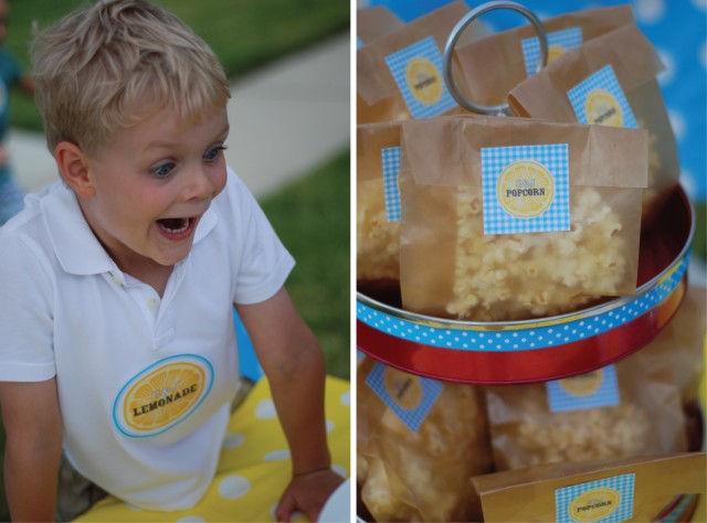 They were raising money for the Fort Mill Animal Shelter Lemonade 