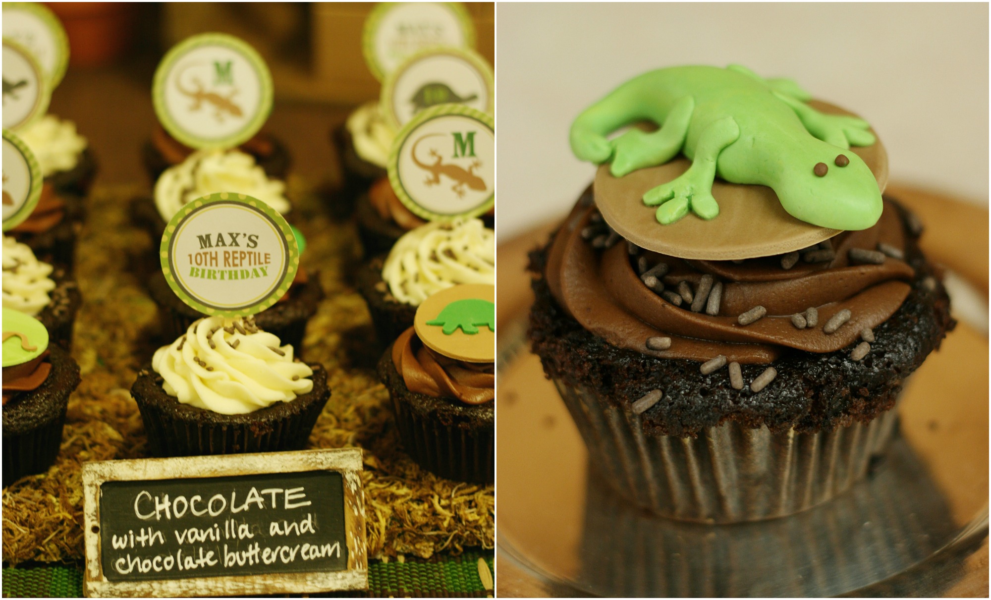 Reptile Party